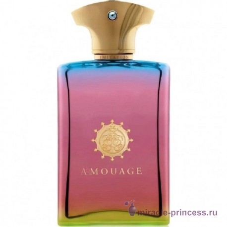 Amouage Imitation For Man 11