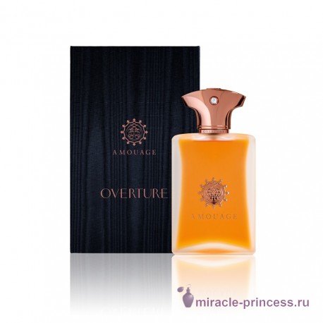 Amouage Overture Man 22