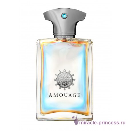 Amouage Portrayal For Man 11