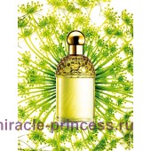 Guerlain Aqua Allegoria Angelique Lilas