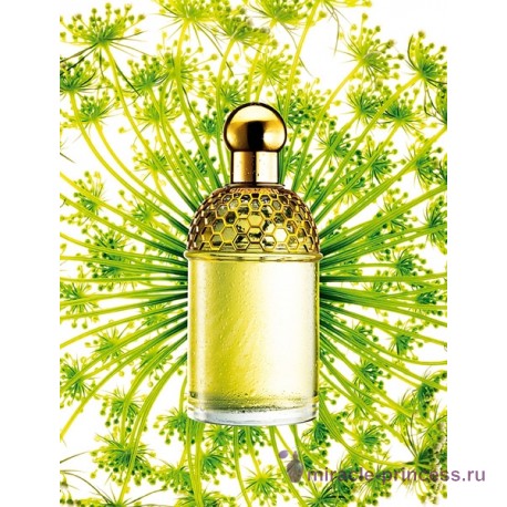 Guerlain Aqua Allegoria Angelique Lilas 22