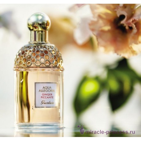 Guerlain Aqua Allegoria Ginger Piccante 22