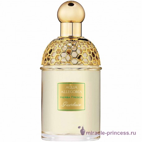 Guerlain Aqua Allegoria Herba Fresca 11