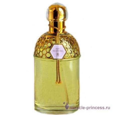 Guerlain Aqua Allegoria Lavande Velours 11