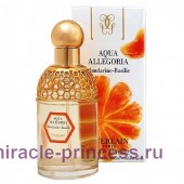 Guerlain Aqua Allegoria Mandarine Basilic