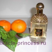 Guerlain Aqua Allegoria Mandarine Basilic