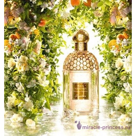 Guerlain Aqua Allegoria Nerolia Bianca 22