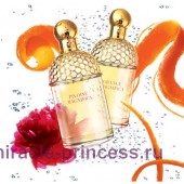 Guerlain Aqua Allegoria Orange Magnifica