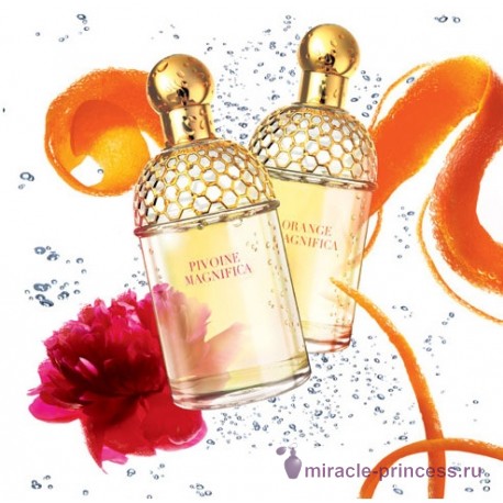 Guerlain Aqua Allegoria Orange Magnifica 22