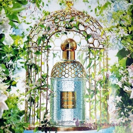 Guerlain Aqua Allegoria Teazzurra 22