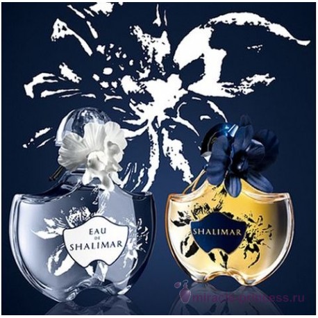 Guerlain Eau de Shalimar 22