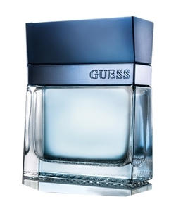 Guess Seductive Homme Blue