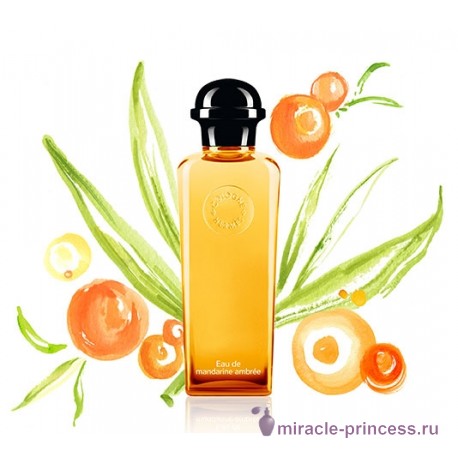 Hermes Eau de Mandarine Ambrеe 22