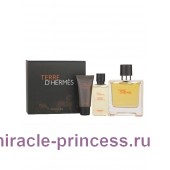 Hermes Terre D'hermes