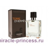 Hermes Terre D'hermes