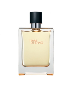 Hermes Terre D'hermes