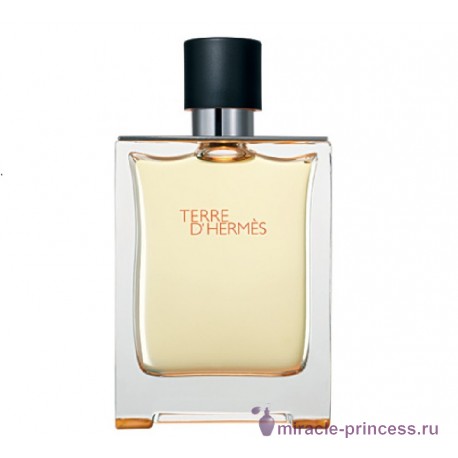 Hermes Terre D'hermes 11