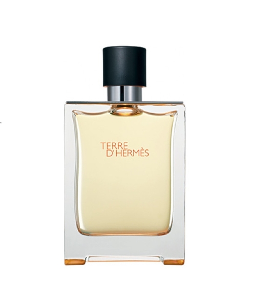 Hermes Terre D'hermes