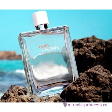 Hermes Terre d'Hermes Eau Tres Fraiche 22