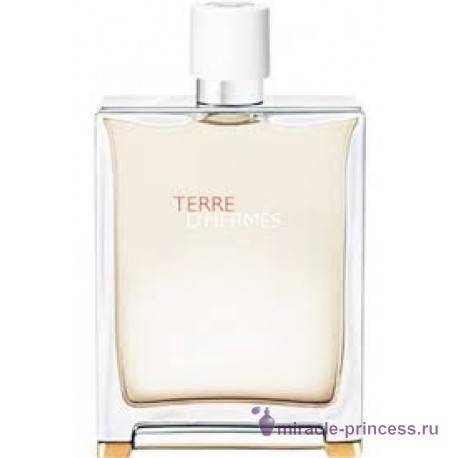 Hermes Terre d'Hermes Eau Tres Fraiche 11