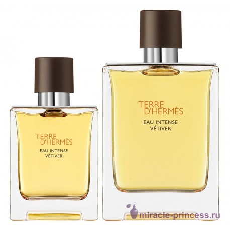 Hermes Terre d'Hermes Eau Intense Vetiver 22