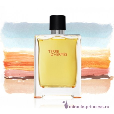 Hermes Terre d'Hermes Eau Intense Vetiver 22