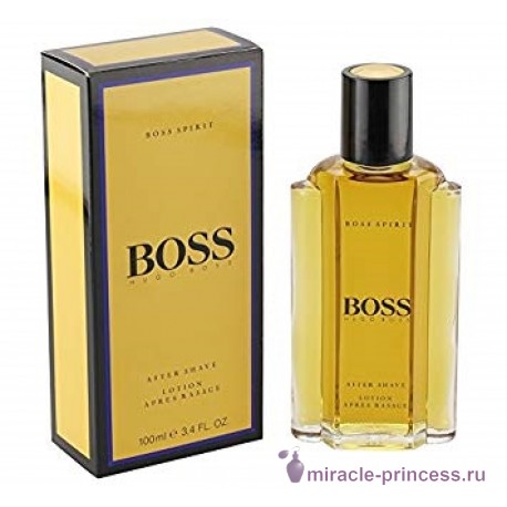 Hugo Boss Boss Spirit 22