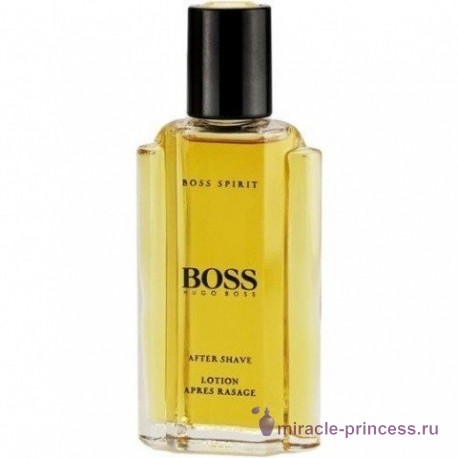 Hugo Boss Boss Spirit 11