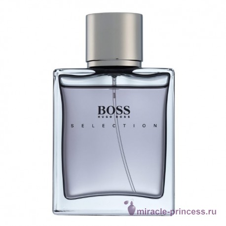 Hugo Boss Selection 11