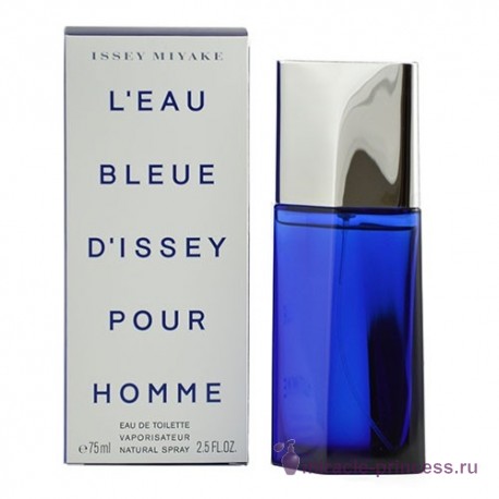 Issey Miyake L'Eau Bleue Pour Homme 22