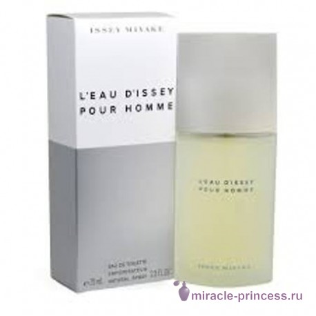 Issey Miyake L'eau D'Issey Pour Homme 22