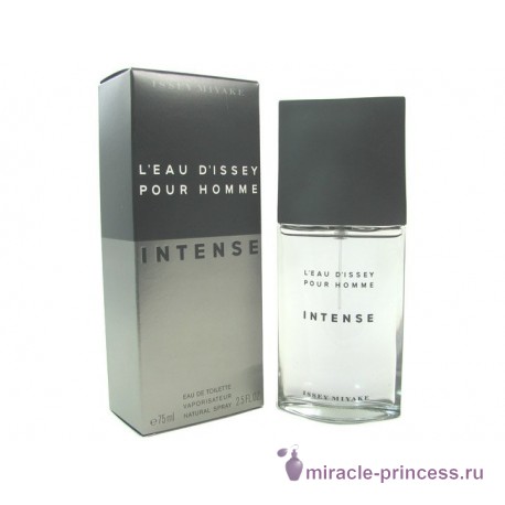 Issey Miyake L'eau D'issey Pour Homme Intense 22