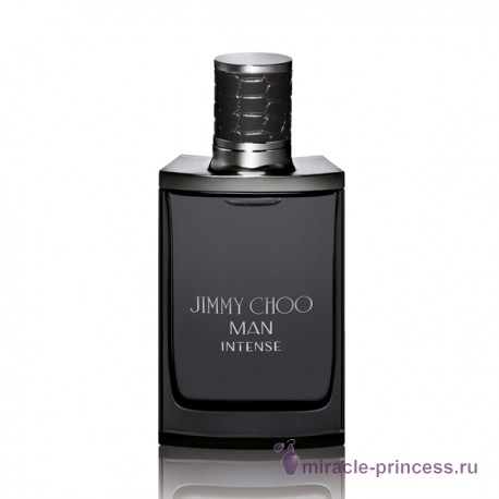 Jimmy Choo Jimmy Choo Man Intense 11