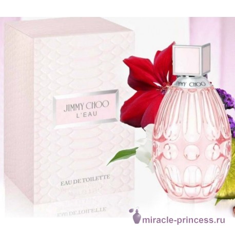 Jimmy Choo L`Eau 22