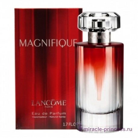 Lancome Magnifique 22