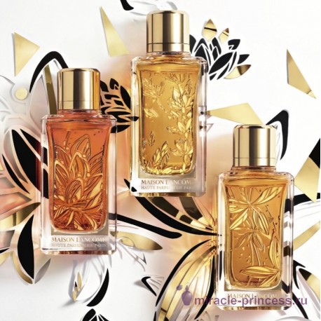 Lancome Roses Berberanza 22