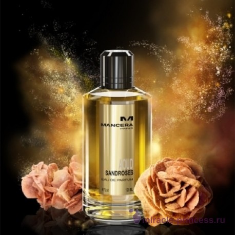 Mancera Aoud Sandroses 22