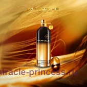 Montale Amber Musk