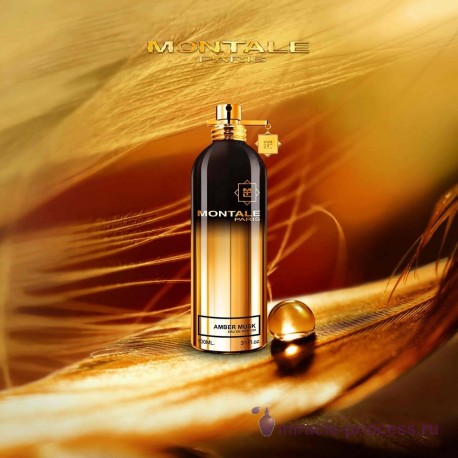 Montale Amber Musk 22