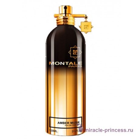Montale Amber Musk 11