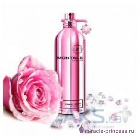 Montale Aoud Amber Rose 22