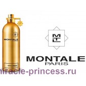 Montale Aoud Ambre