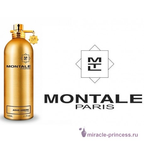 Montale Aoud Ambre 22