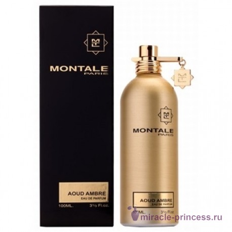 Montale Aoud Ambre 22