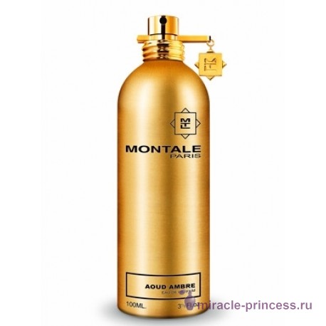 Montale Aoud Ambre 11