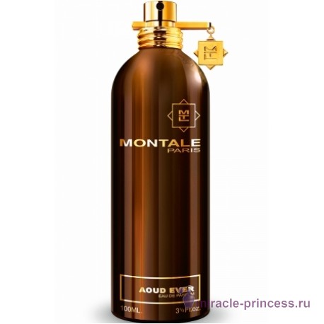 Montale Aoud Ever 11
