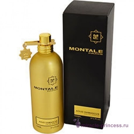 Montale Aoud Damascus 22