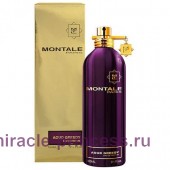 Montale Aoud Greedy