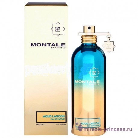 Montale Aoud Lagoon 22