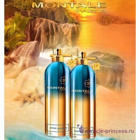 Montale Aoud Lagoon 22